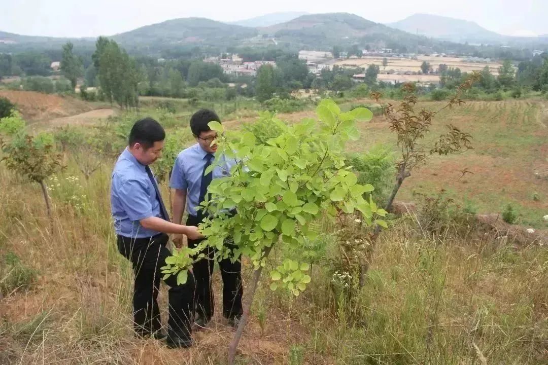 舞鋼:探索形成“兩融三策”礦山生態(tài)修復(fù)新模式